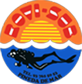 Rovisub Logo
